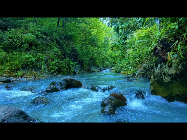 Tranquil Water Flowing - Gentle Mountain Stream for Relaxation & Healing Sleep