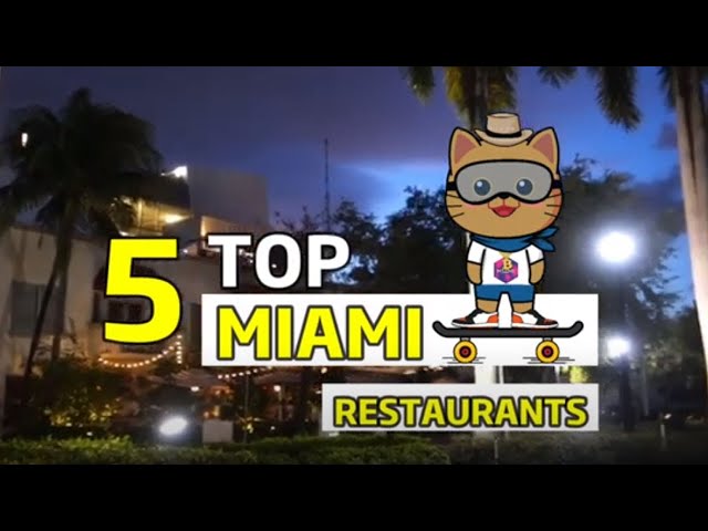 Top 5 Miami Restaurants | Fortune Kitty Tour ❤️🏖️