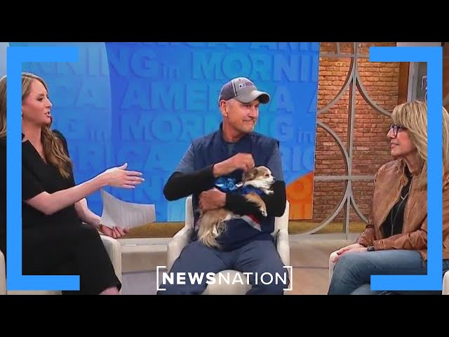 Chihuahua and postal carrier share an unlikely friendship | Morning in America