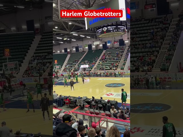 Harlem Globetrotters Was Fun Today #shorts #trending #fun #harlemglobetrotters #basketball #sports