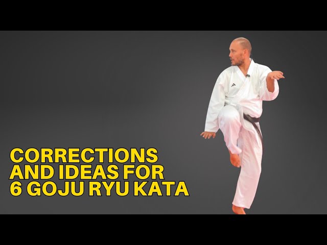 Corrections and ideas for 6 Goju Ryu Kata