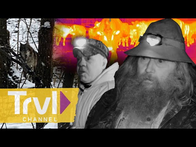 Could There Be Wolves in West Virginia?! | Mountain Monsters | Travel Channel