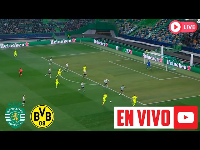 SPORTING SP VS DORTMUND EN VIVO ⚽ CHAMPIONS LEAGUE | REY DEPORTIVO