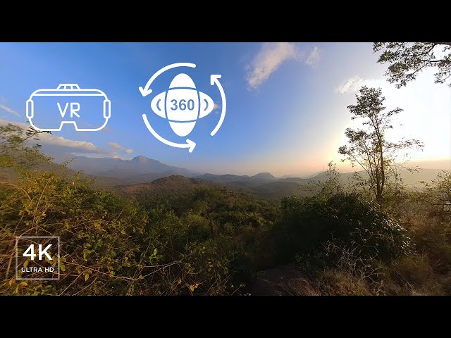 Immersive 360° VR Morning in a Deep Forest | 4K ASMR Experience with Ambisonic Sound