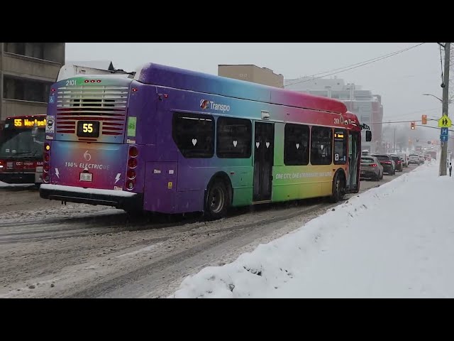 Ottawa's Pride Bus on Route 55 (RIP Pride Bus)