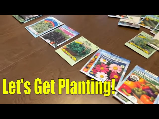 A beginner's guide to starting seeds