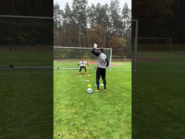 Cognitive high diving ⚪️🟡 #football #goalkeeper #training