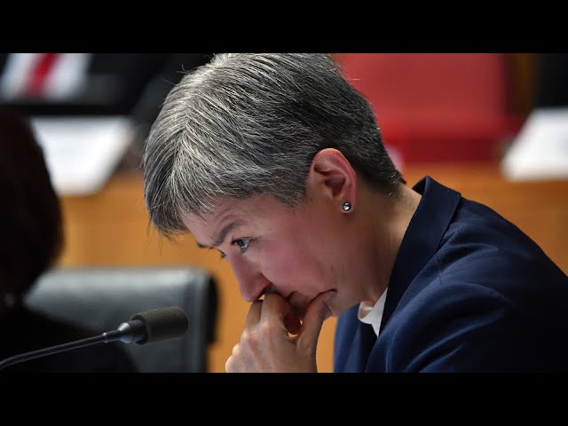 Media must ‘calm down’ on Penny Wong’s attendance at Trump inauguration