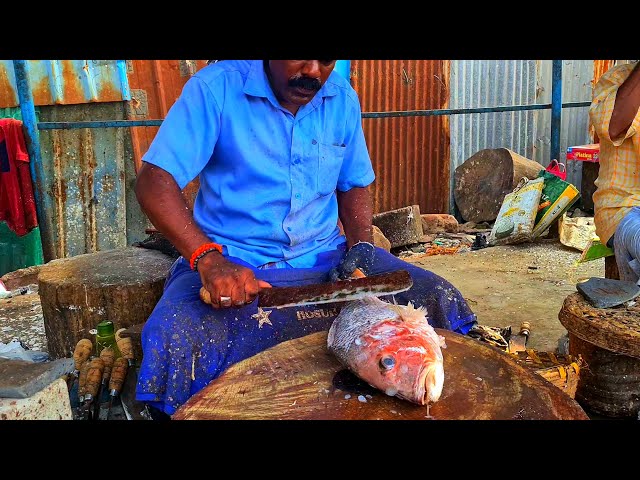 ORANGE SNAPPER FISH CUTTING🔪 FISH CUTTING SKILL 🔥 SATISFYING VIDEO