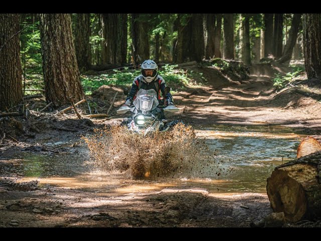 Ride the Oregon BDR!