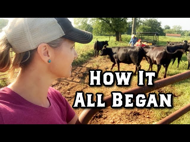 How It All Began! Sharing Some Farm History