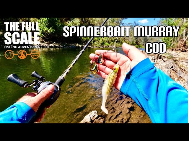 Spinnerbait Murray Cod | The Full Scale