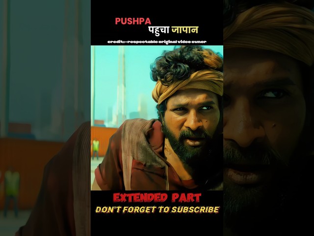 PUSHPA X WILDFIRE|EXTENDED PART|#movieexplained #movieexplainedinhindi #pushpa2hindi