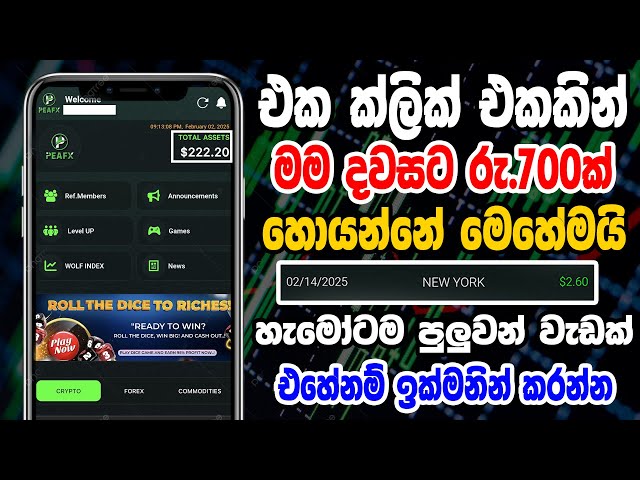 හැමදාම $2.6 (රුපියල් 700ක්) මම හොයන අලුත් ක්‍රමය | peafx sinhala | online job at home