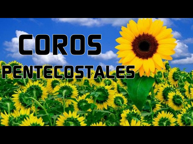 COROS PENTECOSTALES VIEJITOS PERO MUY BONITOS - GRACIAS POR LLEGAR A MI VIDA