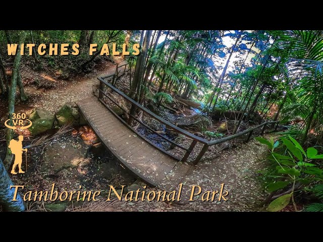 Witches Falls, Tamborine National Park - 360° Walkthrough