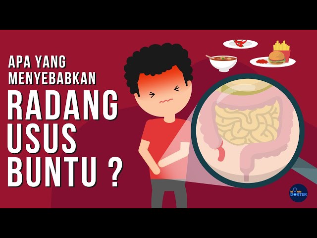 Apa yang menyebabkan Usus Buntu?