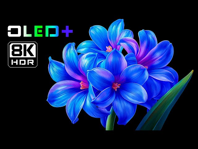 OLED DEMO - Beautiful Blossoming Flowers in 8K HDR | Dolby Vision™