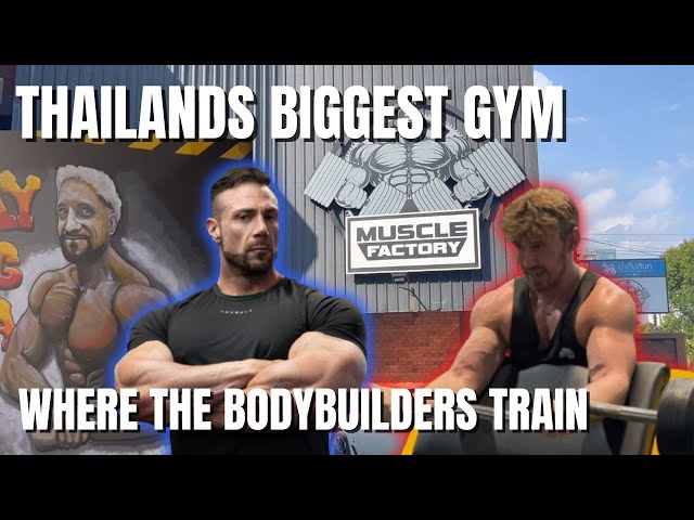 TRAINING IN THAILANDS BIGGEST BODYBUILDING GYM / DAY IN THE LIFE BANGKOK