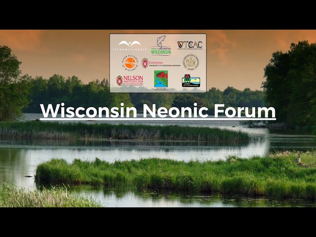 Wisconsin Neonic Forum Part 3