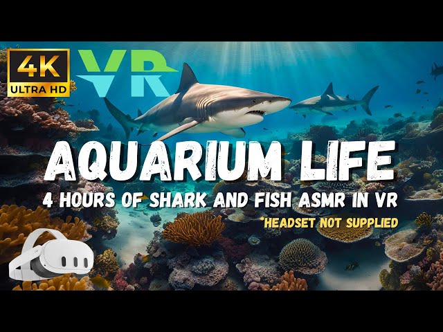 3D 180 VR Underwater Aquarium ambience, Coral reef, 4K ASMR