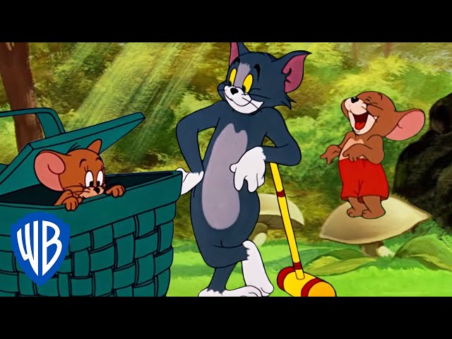 Tom & Jerry em Português | Brasil | Um Pouco de Ar Fresco! | WB Kids