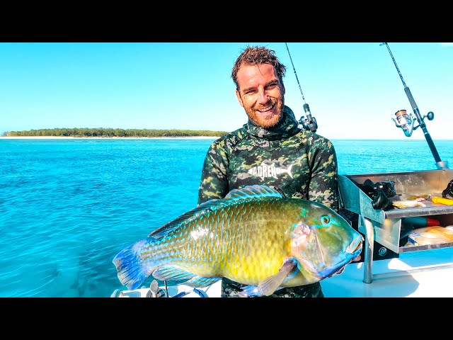 Spearfishing & Camping On The Reef (CRAZY MARINE ENCOUNTERS!)