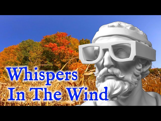 Whispers in the Wind - Stoic Lessons from an Autumn Cornfield | Virtual Reality / VR180