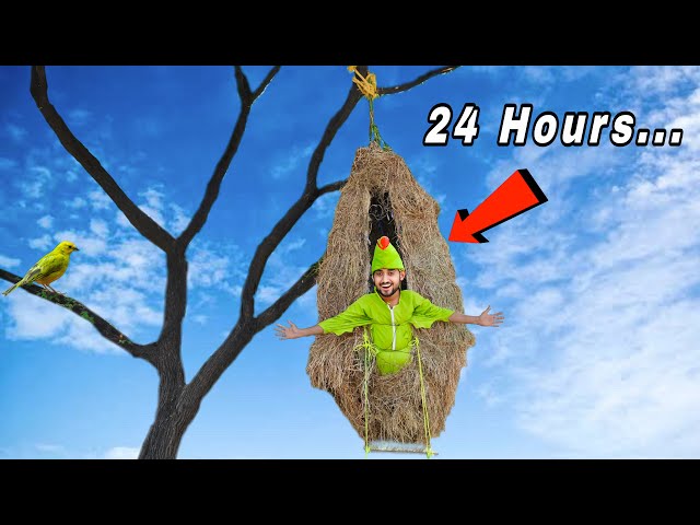 Living On Real birdhouse For 24 Hours | WE build birdhouse | a1 adventure