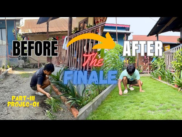 Garden renovation project-01 The Finale #timelapse