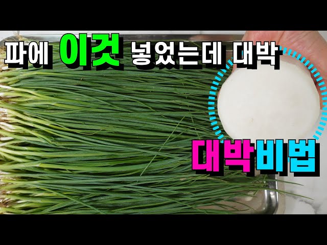 절일 필요없는 파김치 이것 넣어 꿀맛 보장💚파는 이 방법이 최고입니다. 이렇게 드시면 잊을 수 없는 맛입니다