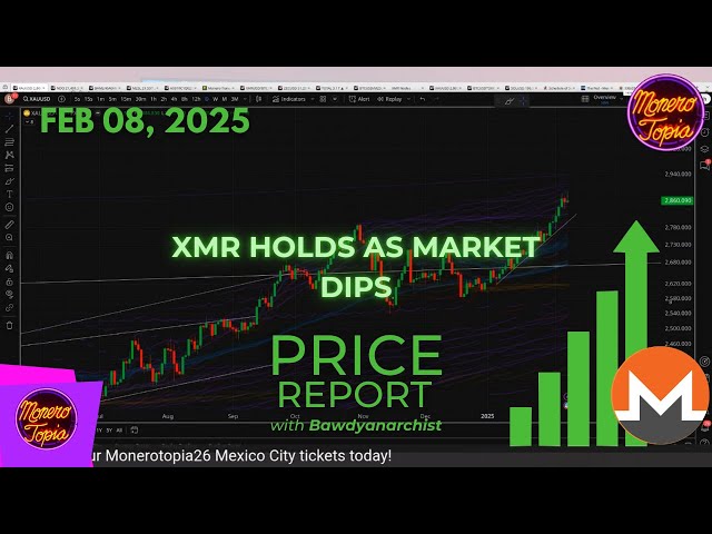 XMR Holds as Market Dips 02/08/25 (PRICE EPI 201)