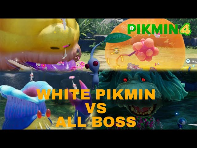 Pikmin 4 White Pikmin VS All Boss And Enemies