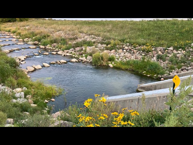 Conservation on the Sand Hill River