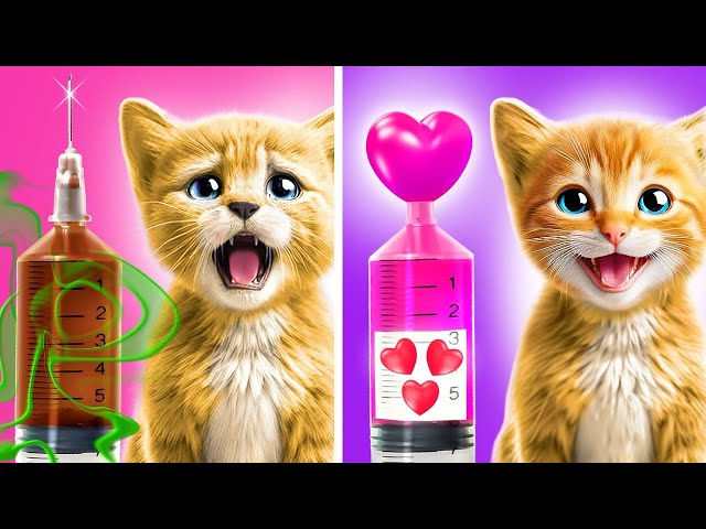 Secret HACKS to Make Your Cat Happy! 5 MINUTE Cat HACKS For BUSY Owners