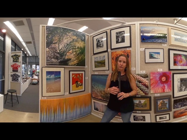 Punavision 360 - Carnival 2017 Art Gallery Tour (February 2, 2017)