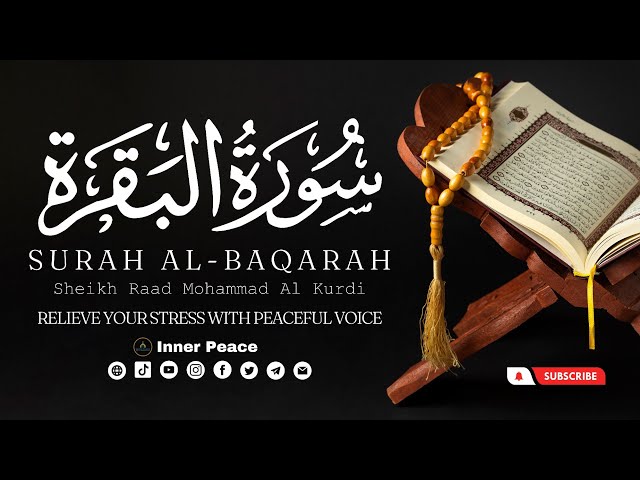 Surah Al-Baqarah | Sheikh Raad Mohammad Al Kurdi | Inner Peace | Relaxed Recitation