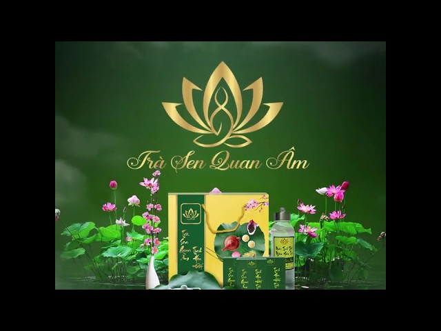 Trà Sen Quan Âm Tây Hồ - Chè ướp bông hoa sen tinh hoa đất trời