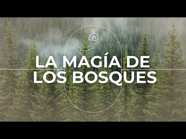 🌿🌿Música Ambiental 2024 | Libera El Estrés Y la Ansiedad🌿🌿