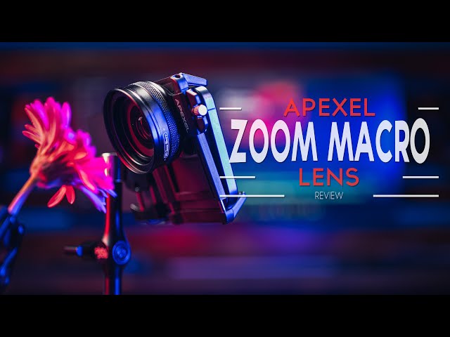 Zoom Macro vs 100mm: Apexel’s New Macro Lens Put to the Test