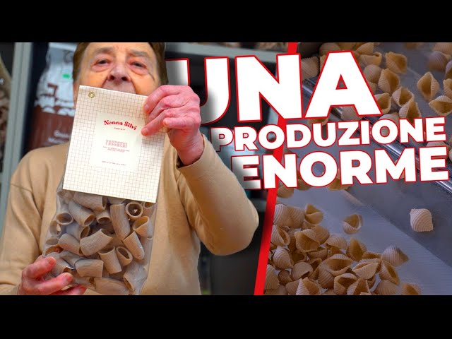 Una Produzione Speciale Per La Pasta Nonna Silvi  (quella delle ricette)