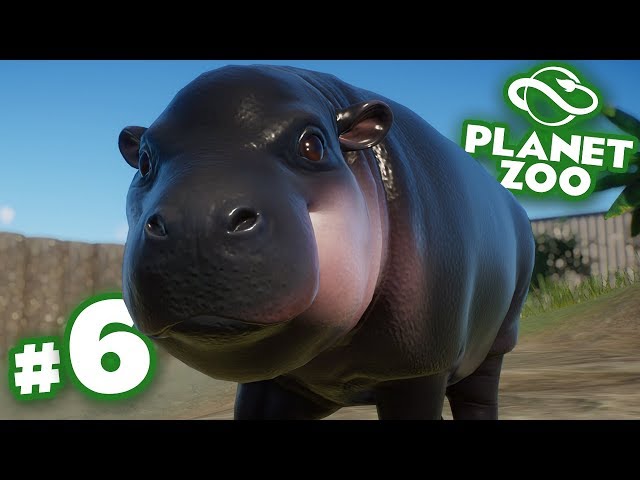 A Bouncing Baba Hippo!!! - Planet Zoo | Ep6 HD