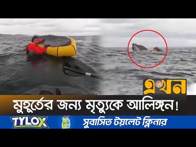 তিমির পেট থেকে বেরিয়ে এলো এক যুবক! | Whale | America | Ekhon TV