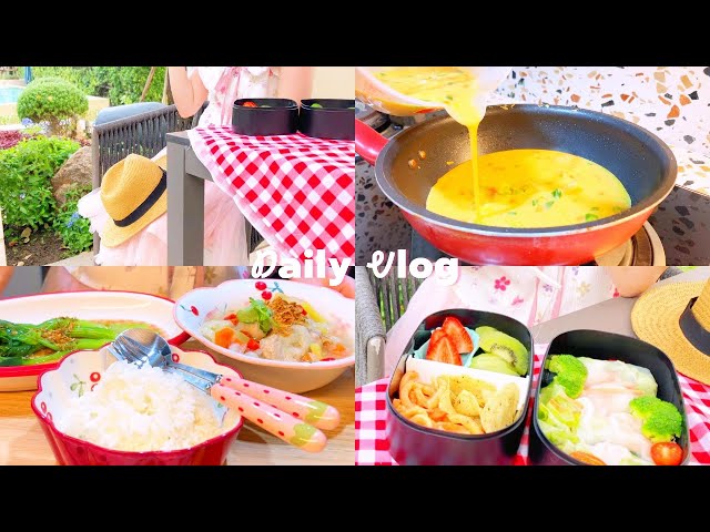 Easy picnic menu 🍱🌯🍀| Slow life cooking 🍳| Islamic Chicken Soup🍲 | Cozy December day🪻