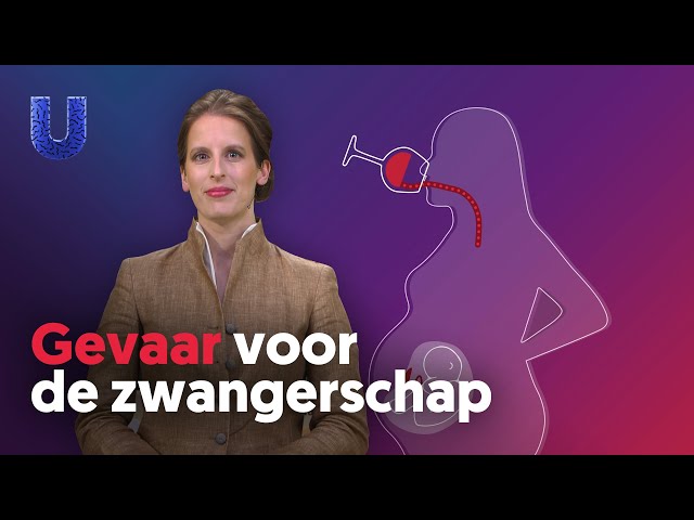 Waarom mag je niet drinken als je zwanger bent?