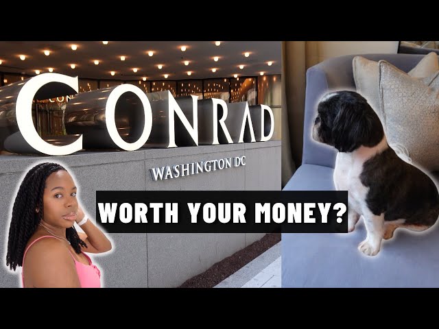 CONRAD WASHINGTON DC + Estuary Restaurant | Dog Friendly Hotel? (VLOG)