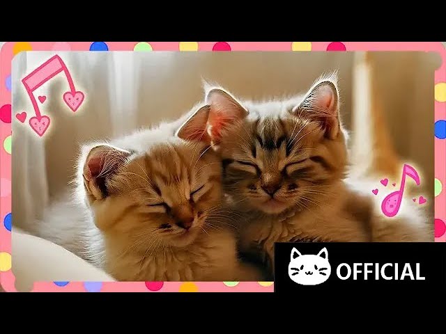 [Cat Song] Close Your Eyes 💤🎵 | Music for Inner Peace 🎶