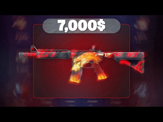 I GOT EVERY HOWL THAT EXISTS IN CLASHGG !