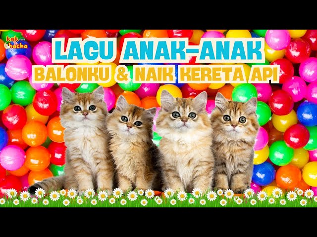 ANAK KUCING MEONG MEONG - BALONKU ADA LIMA -  KERETA API - KOMPILASI LAGU ANAK LUCU - @kakadanchacha