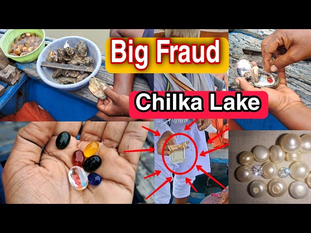 Gemstones and Pearl Fraud at Chilika Lake || Chilika Lake || Real Gemstones | Real Moti | Real Pearl